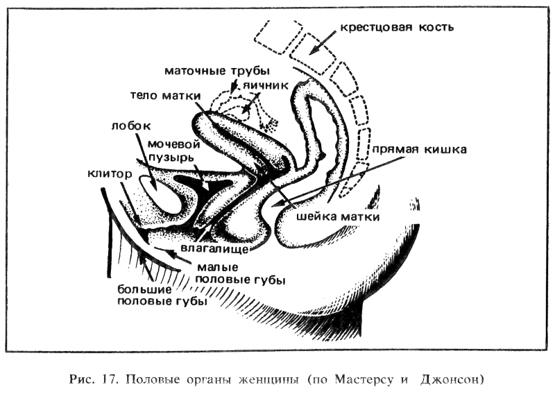 Искусство любви - _18.png