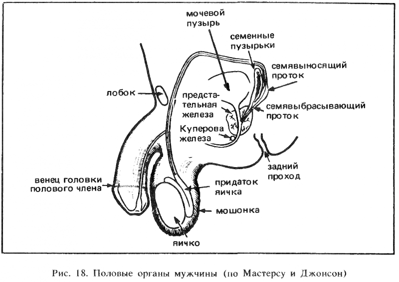 Искусство любви - _19.png