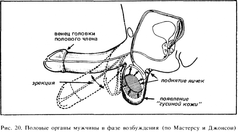 Искусство любви - _21.png