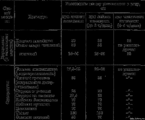 Семейное овощеводство на узких грядах - i_013.jpg