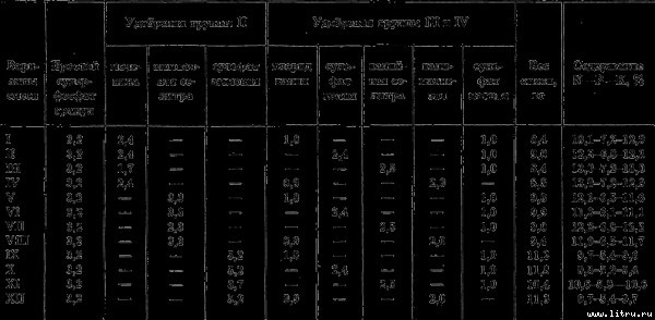 Семейное овощеводство на узких грядах - i_030.jpg