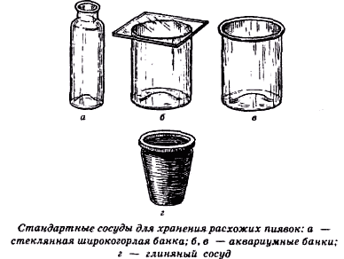 Моя любимая пиявка (СИ) - img_4.png