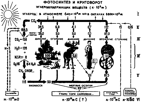 Эволюция биосферы - i_023.png