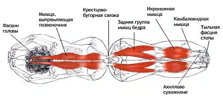 Анатомия йоги - _80.jpg