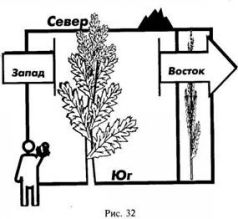 Школа выживания в природных условиях - pic_41.jpg