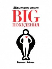 Маленькая книга BIG похудения - Файзерс Бернадетт