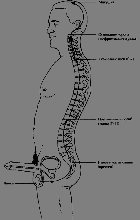 Даосские секреты любви, которые следует знать каждому мужчине - pic10.png