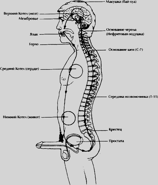 Даосские секреты любви, которые следует знать каждому мужчине - pic3.png