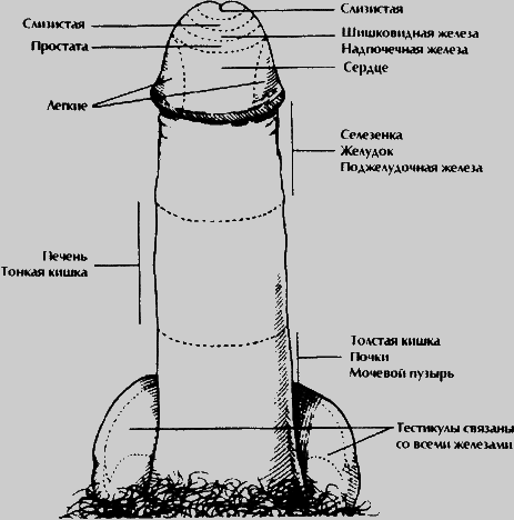 Даосские секреты любви, которые следует знать каждому мужчине - pic7.png