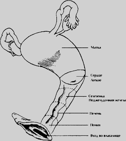 Даосские секреты любви, которые следует знать каждому мужчине - pic22.png