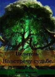 Целитель. Навстречу судьбе (СИ) - Егорова Алена