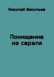 Похищение из сераля (СИ) - Васильев Николай Федорович