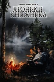 Хроники Книжника. Странник (СИ) - Соломенный Илья