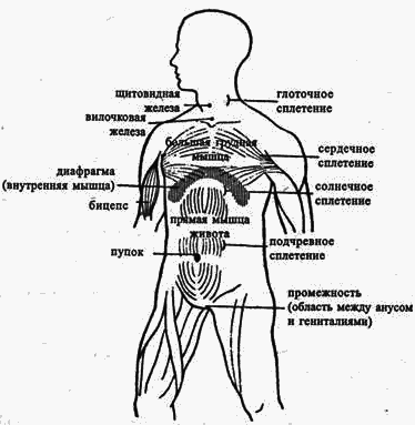 Йога в десяти уроках - pic56.png