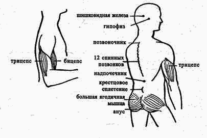 Йога в десяти уроках - pic57.png