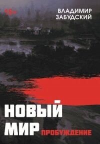 Новый мир. Книга 3: Пробуждение (СИ) - Забудский Владимир