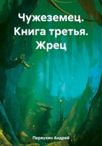 Чужеземец. Книга третья. Жрец - Первухин Андрей Евгеньевич