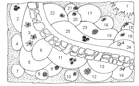 Дизайн участка - _54.png